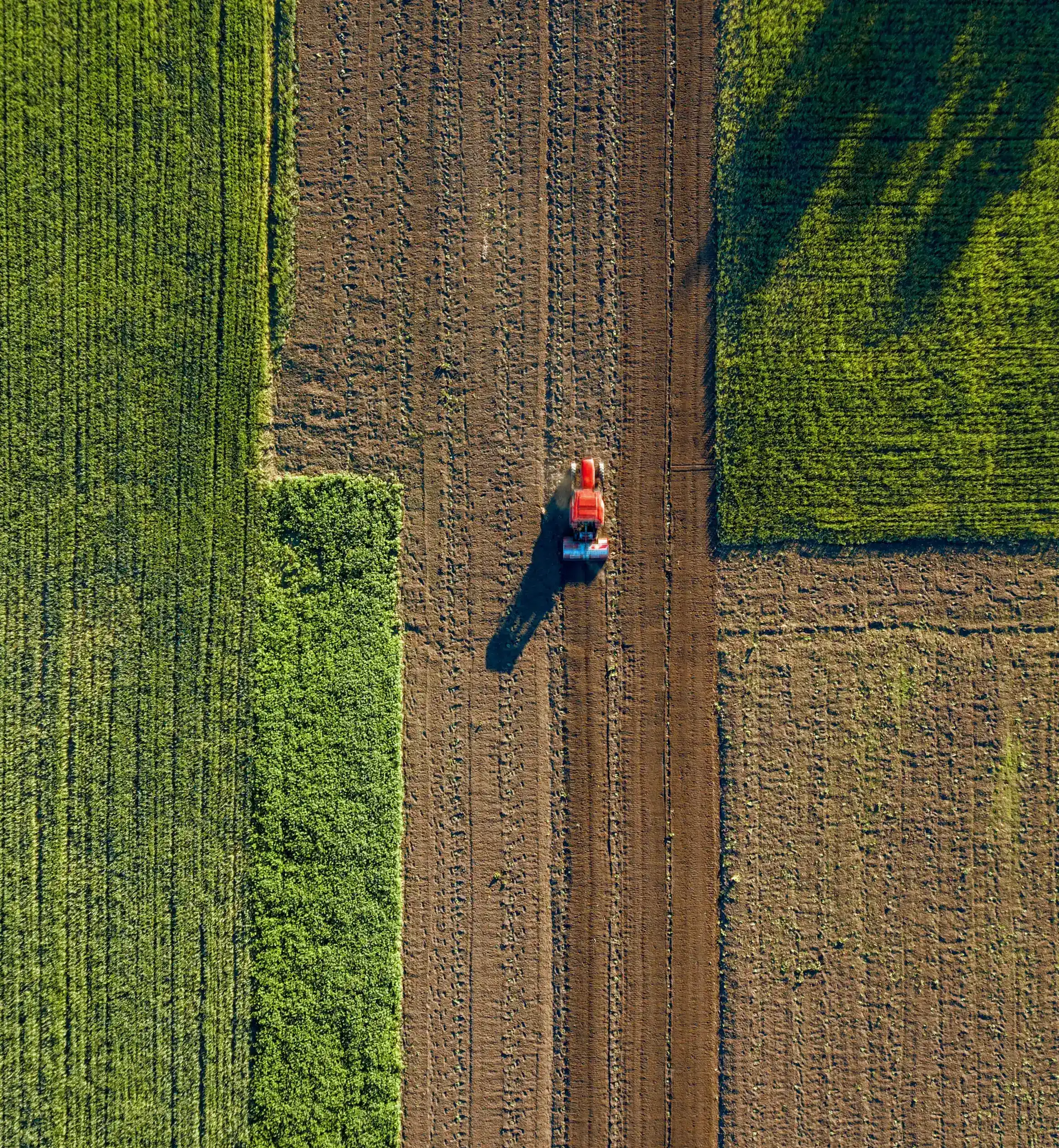 I servizi per la tua azienda agricola